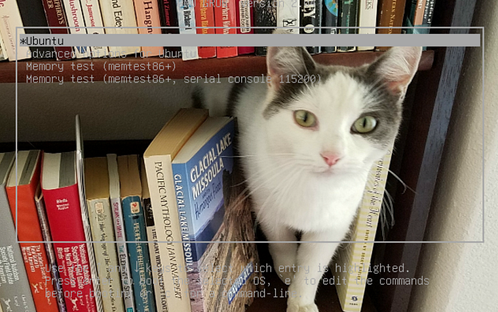 Duchess the literacy cat gracing the GRUB menu