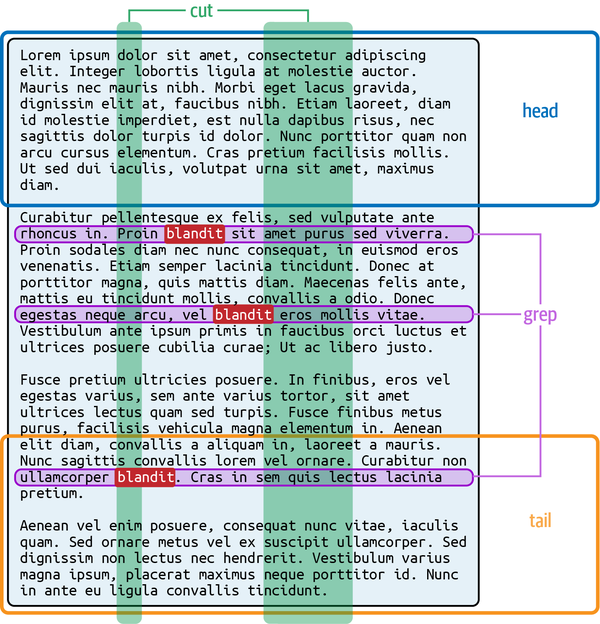 head, grep, tail, and cut operating on a file