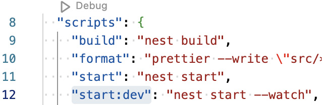 Figure 2.4: Debug button in package.json