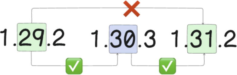 Flow chart illustrating two sequences of numbers with decision points. The top sequence shows numbers 1.29.2, 1.30.3, and 1.31.2, with a red X above 1.30.3 and green check marks below 1.29.2 and 1.31.2. The bottom sequence displays numbers 1.28.2, 1.29.3, and 1.30.2, with a red X above 1.29.3 and green check marks below 1.28.2 and 1.30.2. Arrows connect the numbers, indicating flow direction.