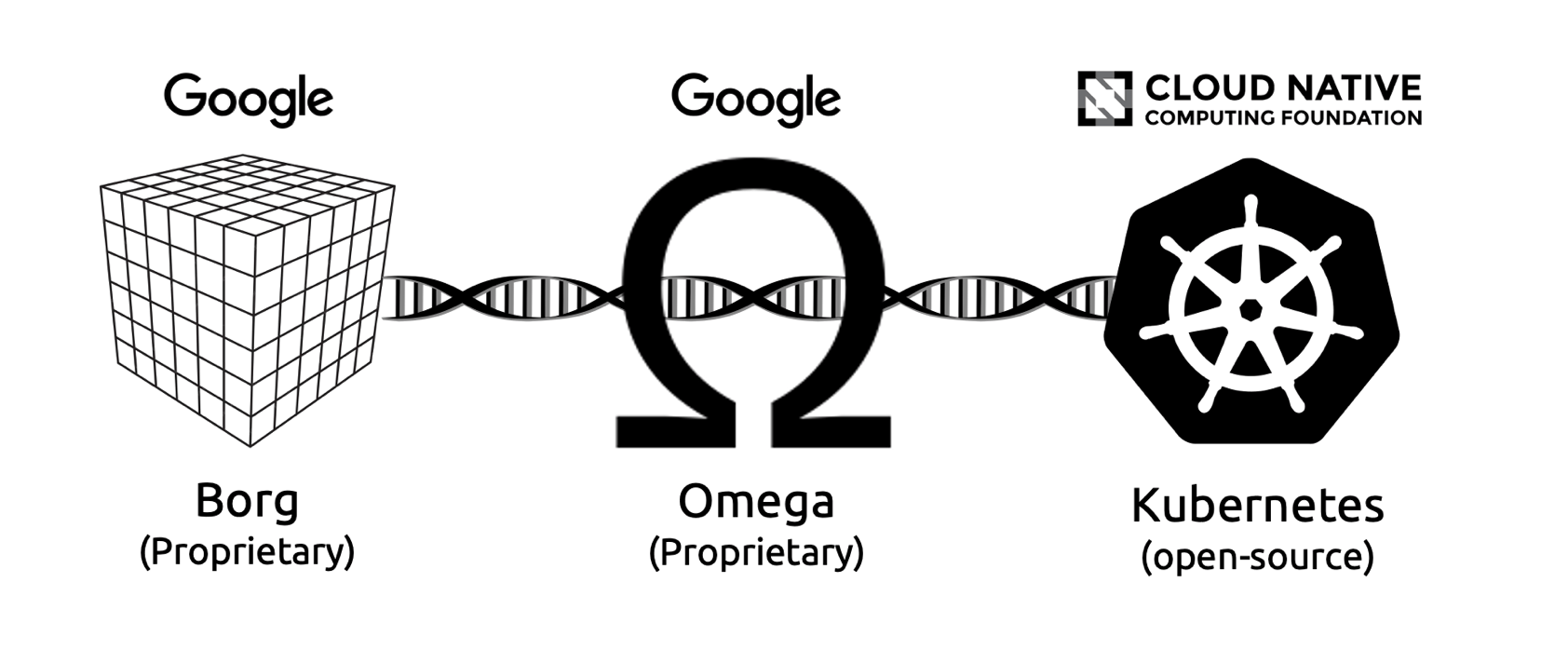 Figure 1.3 - Shared DNA