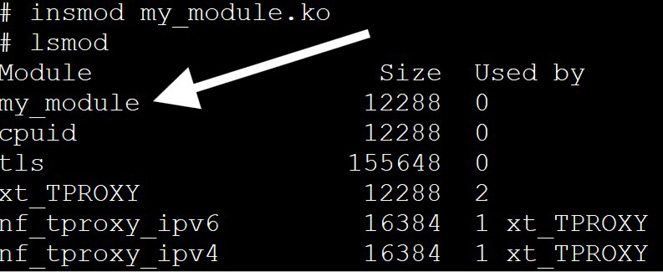 Figure 13.1: Listing our module loaded into the host kernel