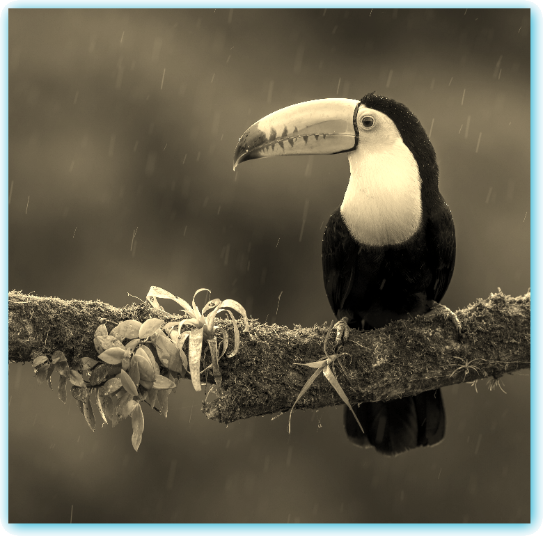 Multiple filter effects can be combined in one declaration