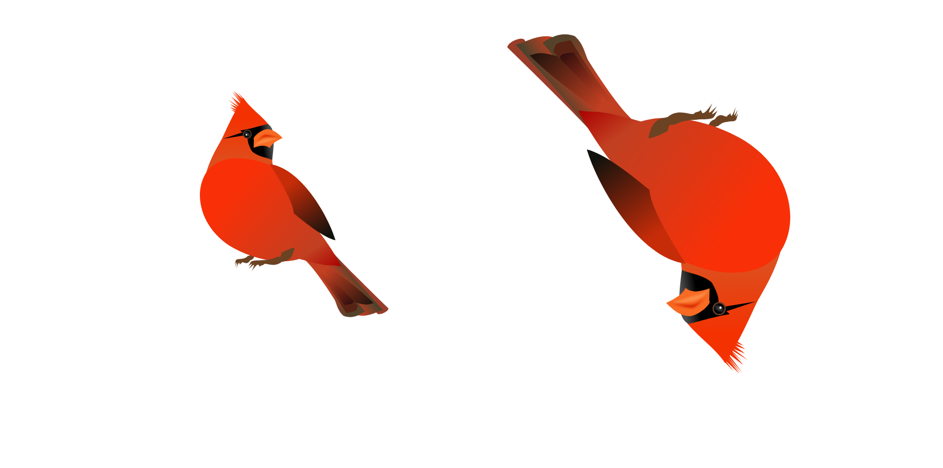 transform: scale(-1.5) scales and flips the element to which it’s applied