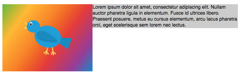 The image extends down below the text