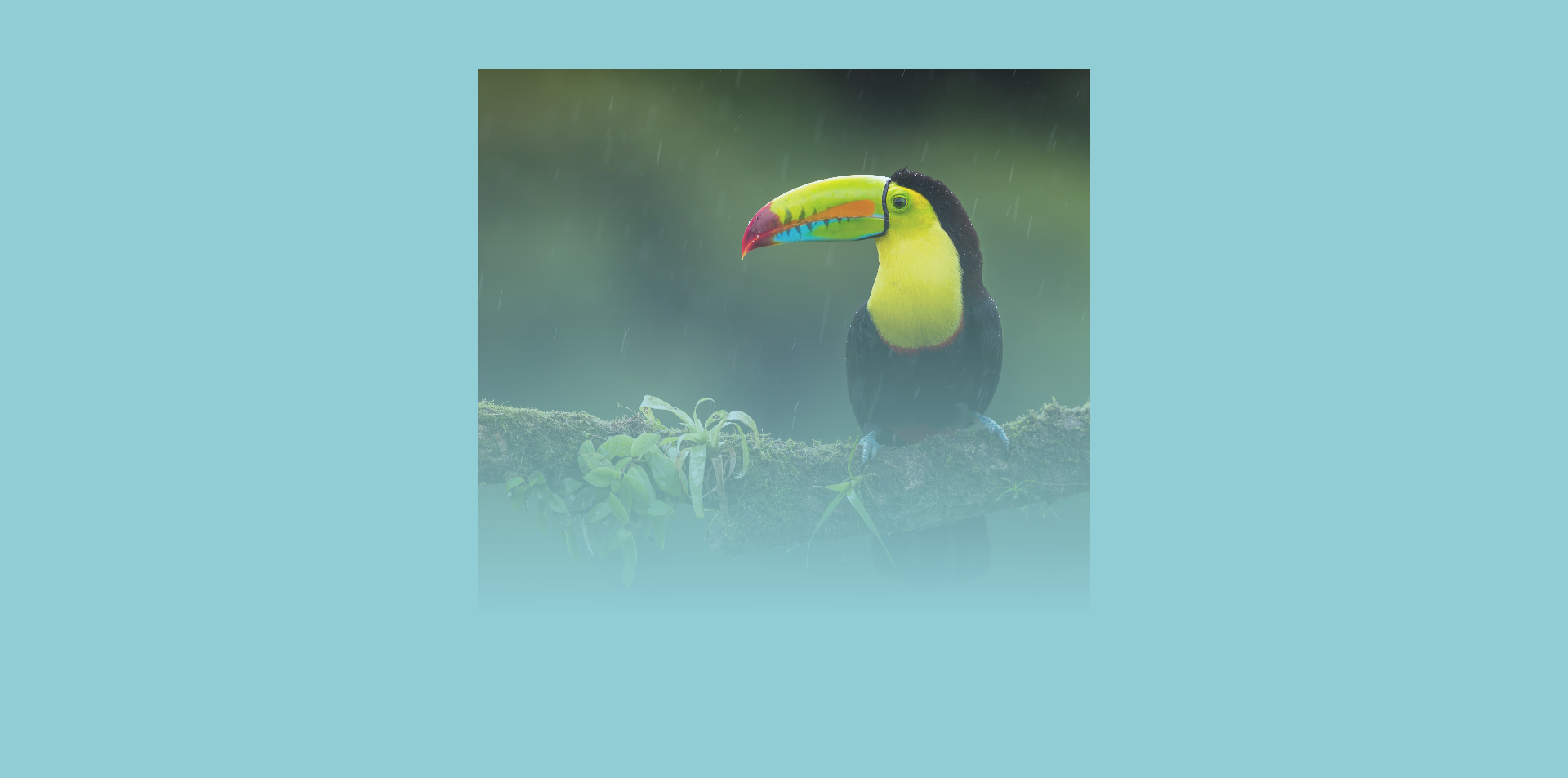 Using a linear gradient that transitions from an opaque color to a transparent one