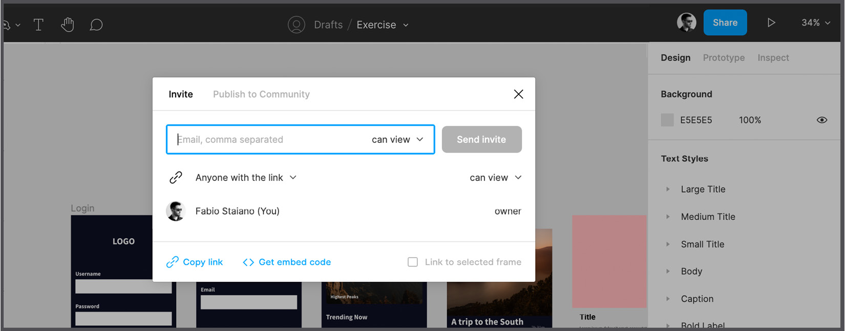 Figure 7.40 – Adding new editors/viewers to the file 