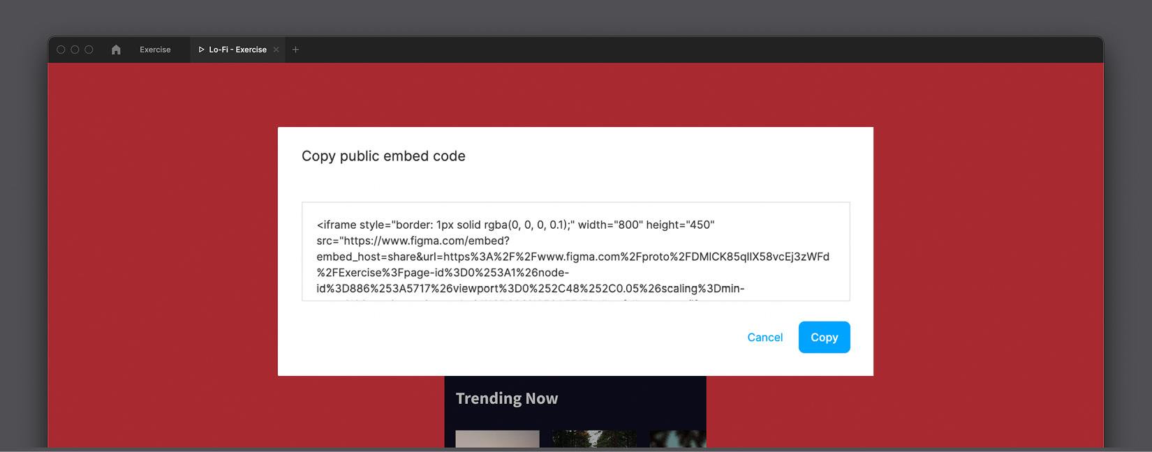 Figure 10.13 – Embed code 