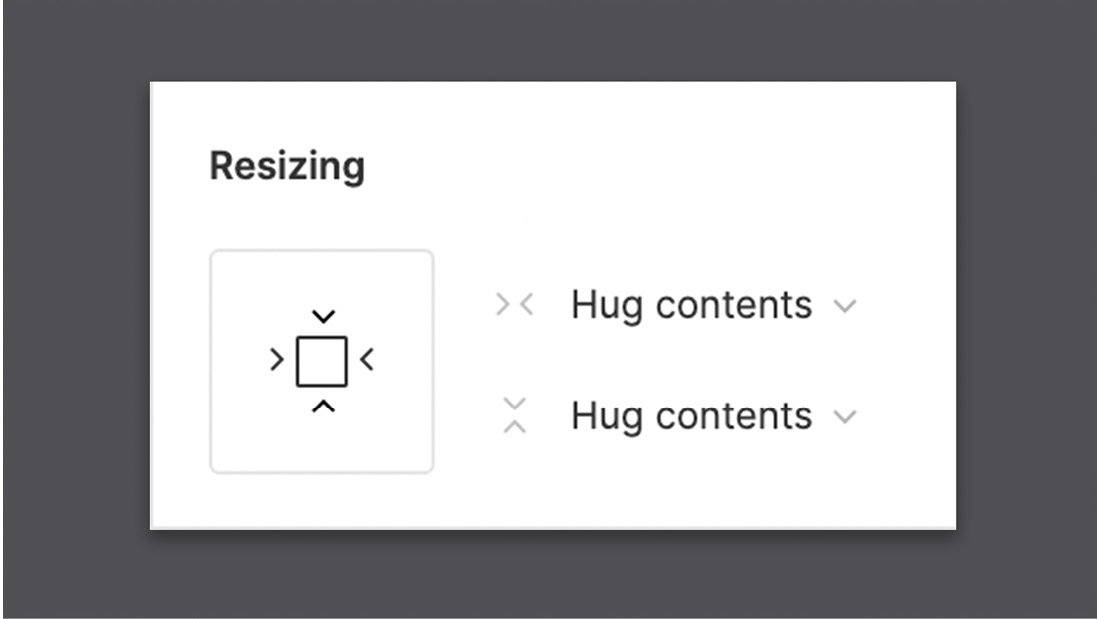 Figure 6.9 – The Resizing section 