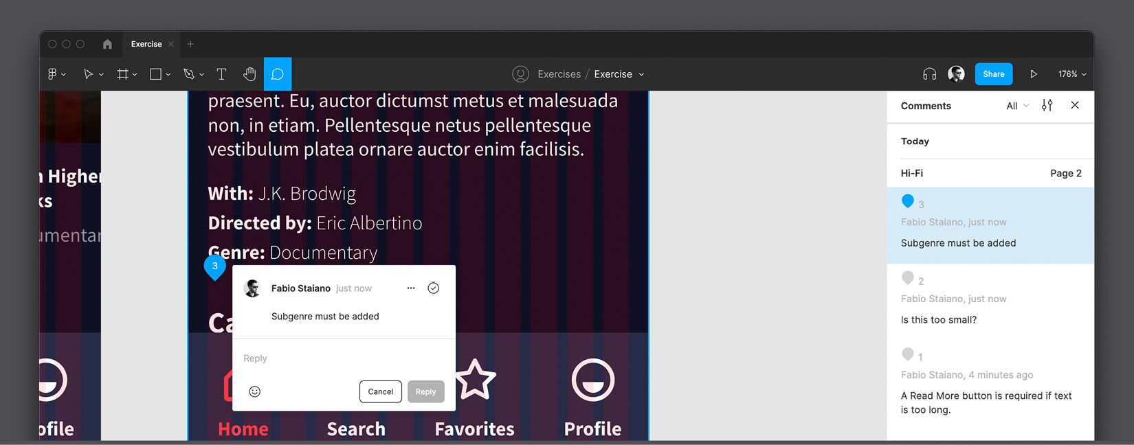 Figure 10.17 – Comments panel 