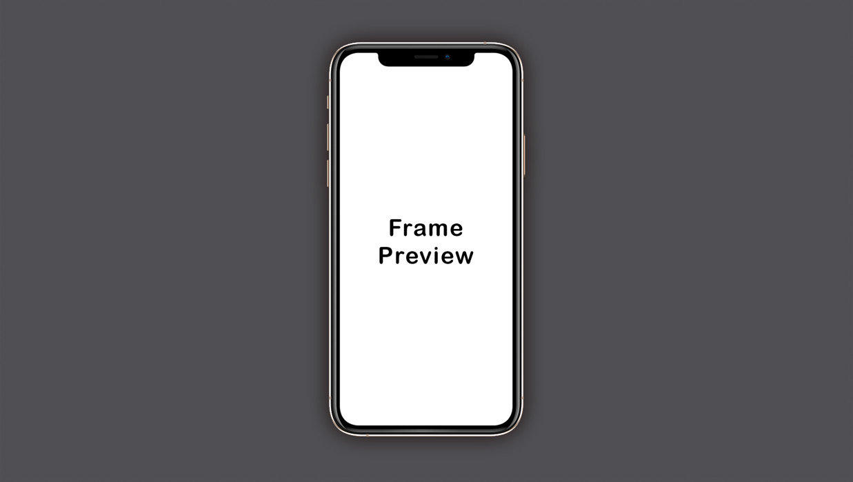 Figure 3.18 – The Frame Preview window 