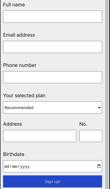 Figure 4.17 – The form, optimized for mobile devices