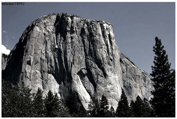 A tree with a mountain in the background  Description automatically generated