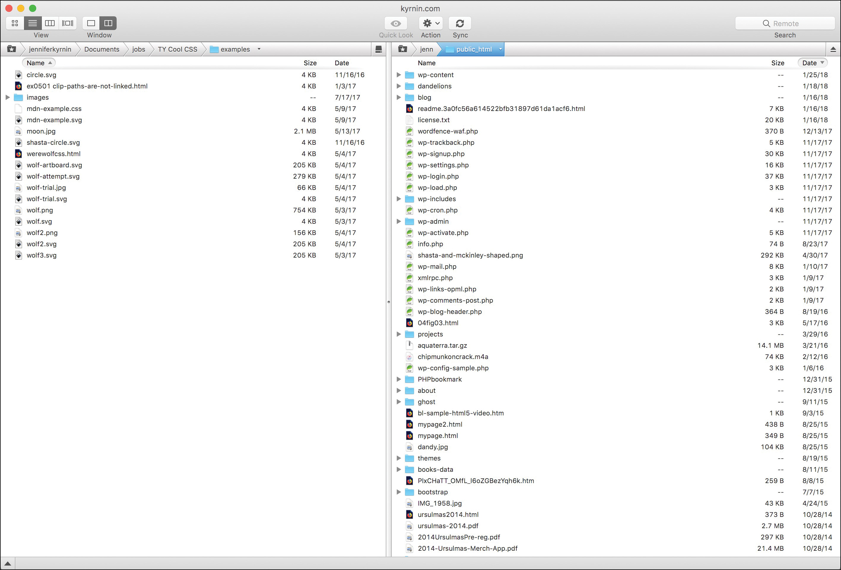 A screenshot shows the Transmit window after successfully establishing a connection with the server. Now, the right side of the window shows the contents of the remote web server.