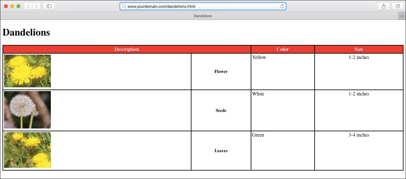 A screenshot shows output in an HTML page and the use of the "colspan" attribute and specific alignment styles.