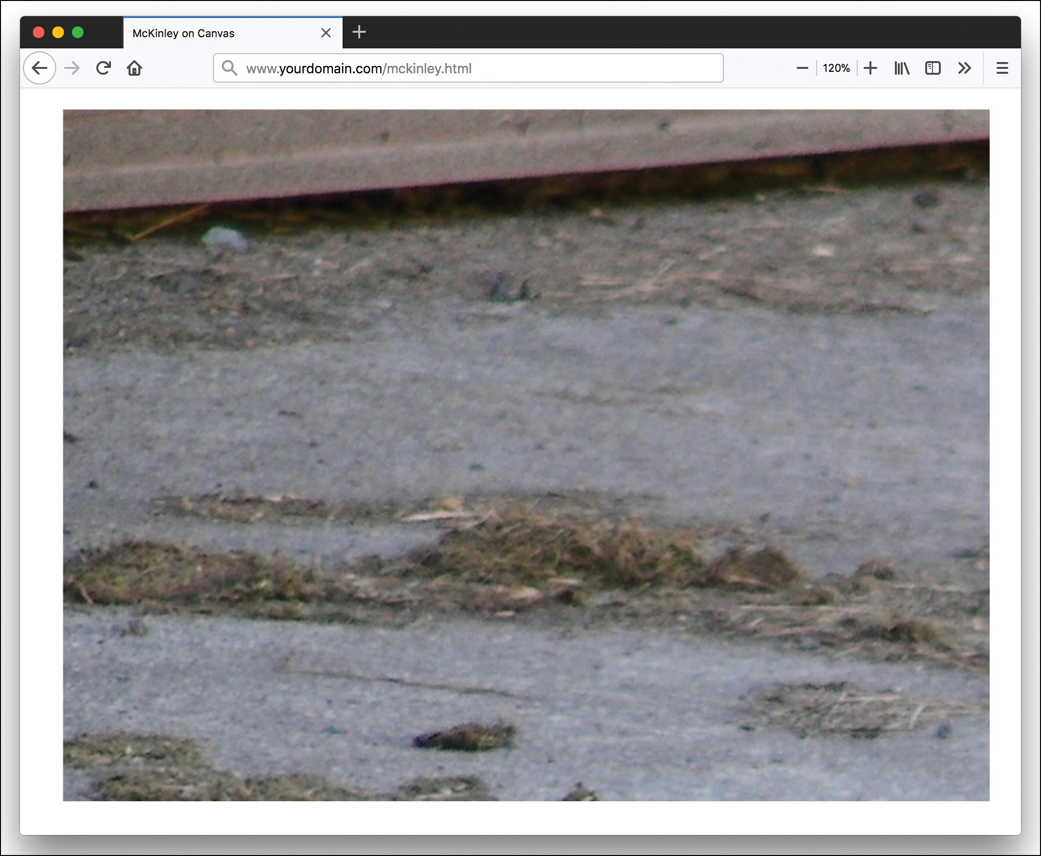 A background image is added to the canvas.