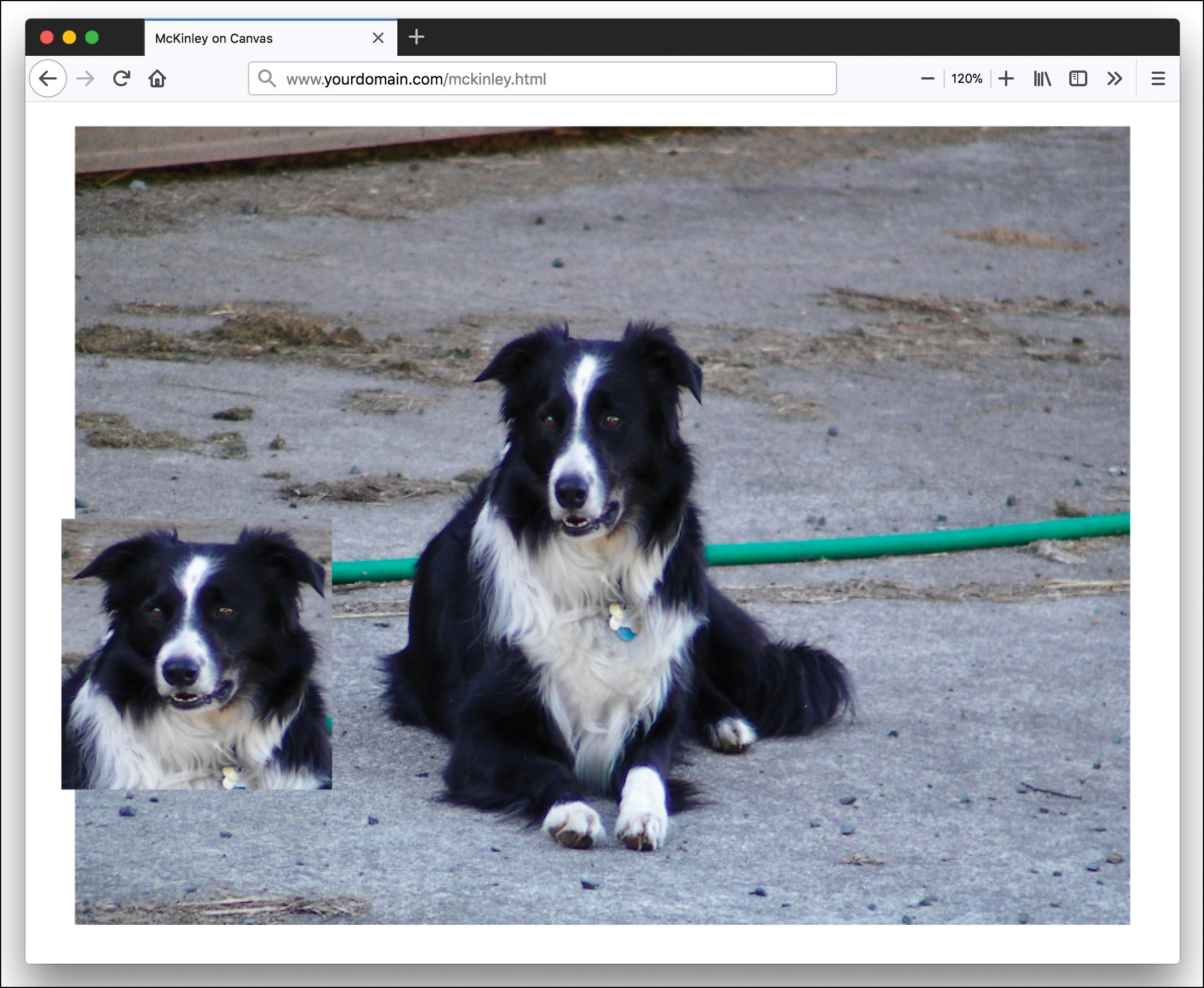 The image of McKinley appears as a background image in the canvas. A cropped image of McKinley’s head is also present over the image.