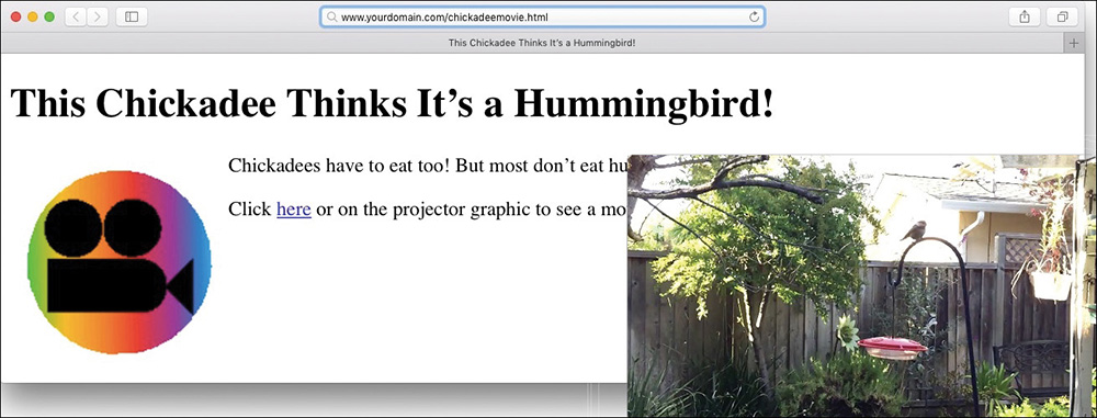A screenshot shows an example for invoking an external application from a webpage. The projector.gif on the left is shown to be clicked and the browser window is overlapped on the right by another window playing a video.