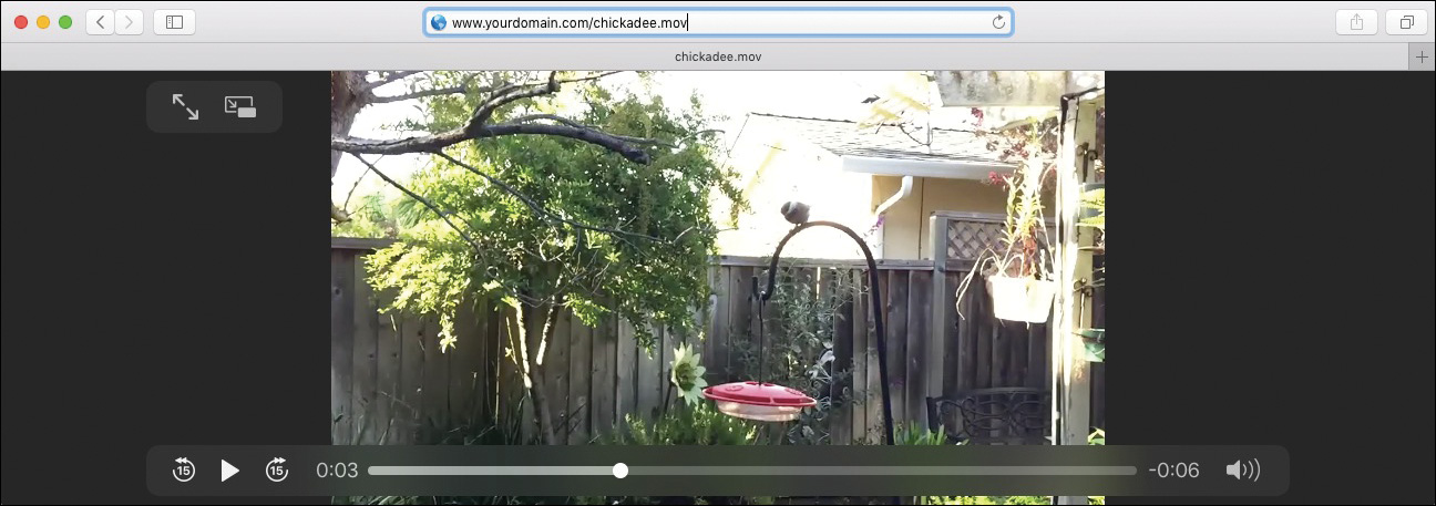 A screenshot shows a browser playing a video using the Quick Time browser plug-in. 