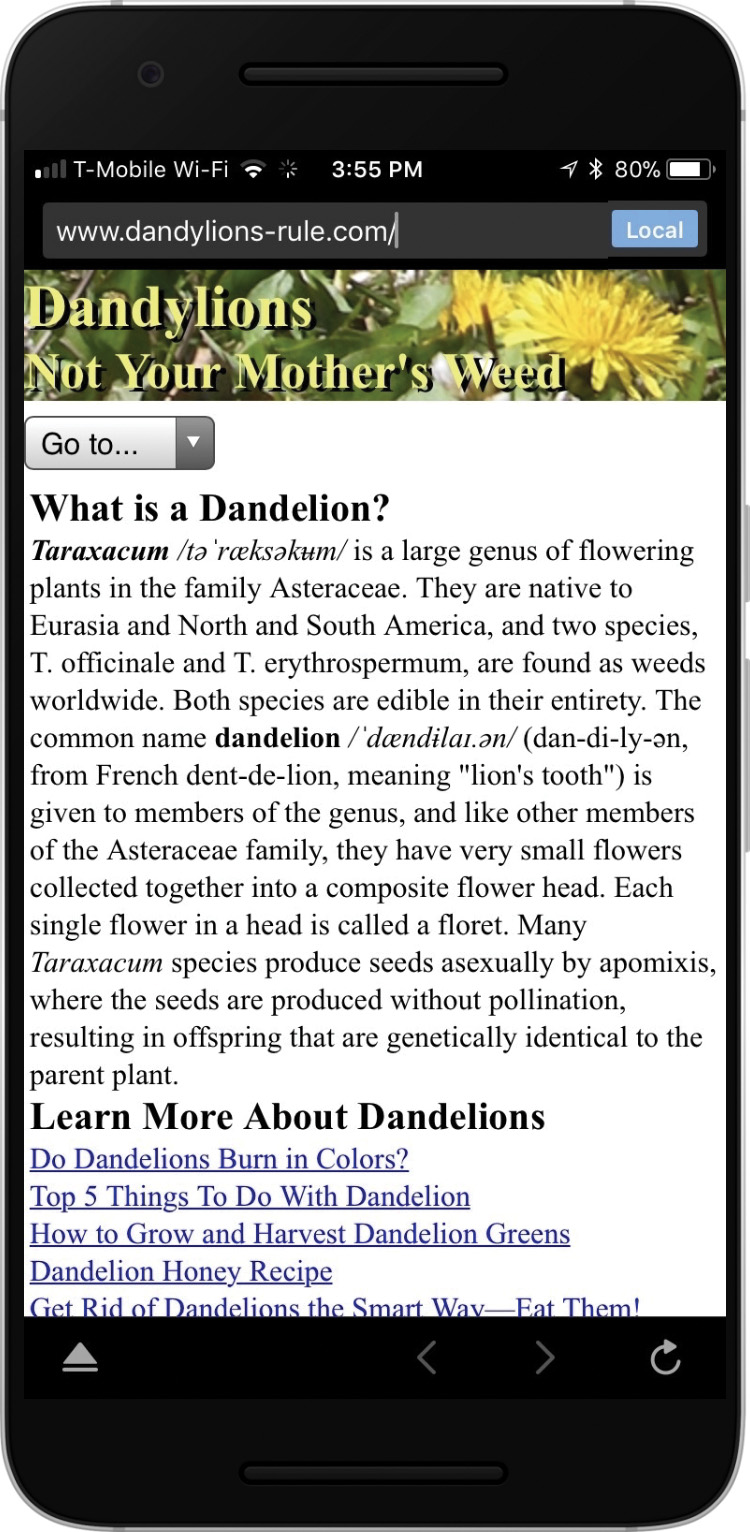 A screenshot shows the Dandylions webpage on a mobile screen. The header is at the top with a background image. The primary navigation is cut-short to a drop-down menu labeled "Go To..." The body is divided horizontally.
