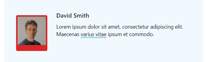 The styled author bio