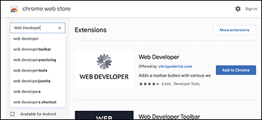 The chrome web store of the chrome browser is displayed.