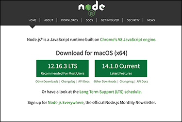 A screenshot of the homepage of the node is shown.