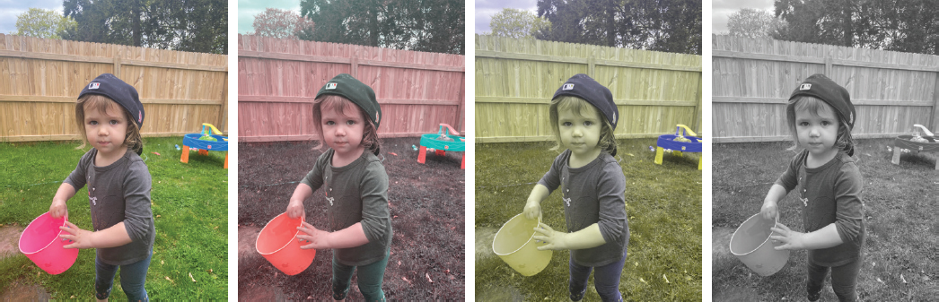 Four photographs are shown to depict the different color schemes applied to the same photograph.