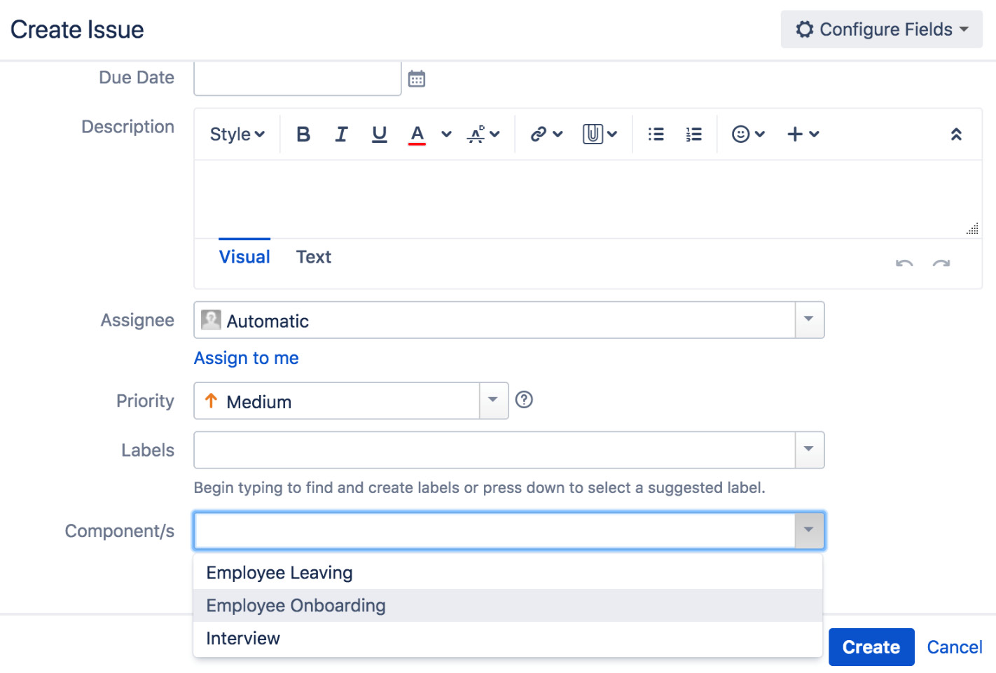 Figure 2.16 – Create Issue 
