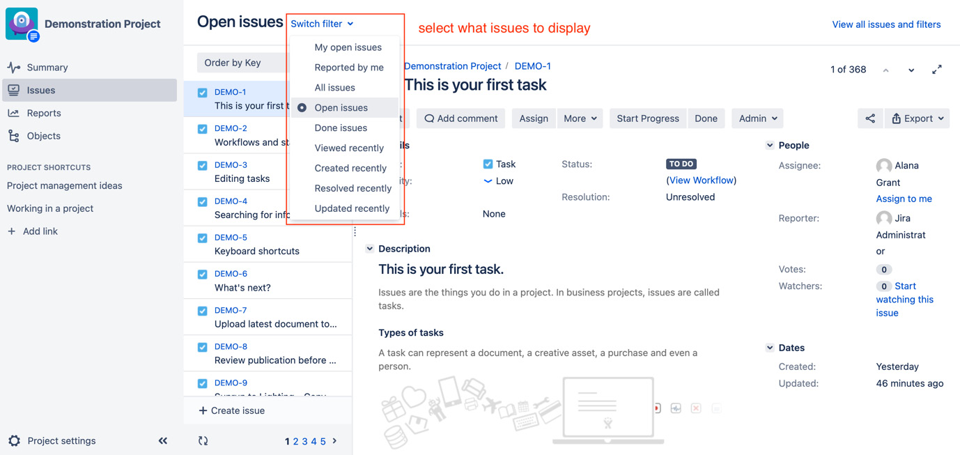 Figure 2.5 – The Issues tab 