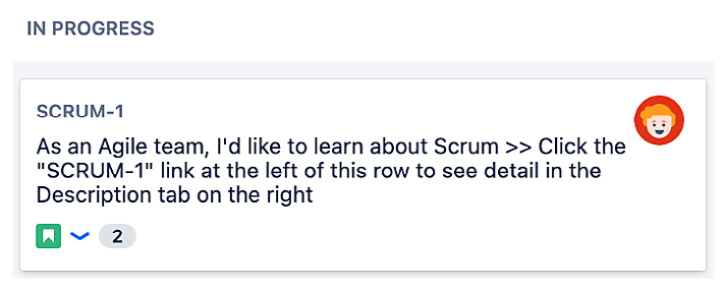 Figure 4.2 – Issue agile card 