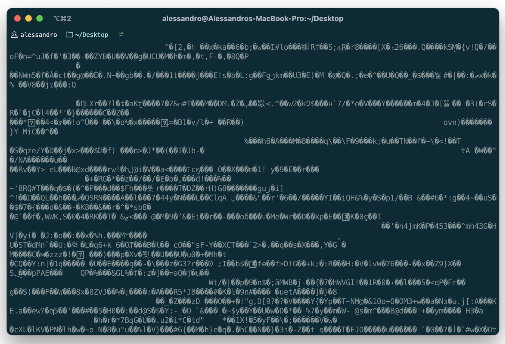 Figure 2.1 – Looking at binary data on a terminal. Note how the terminal is trying to interpret every byte sequence as UTF-8 and frequently encounters invalid ones (replaced with the "" symbol) 