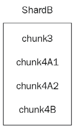 Figure 14.6: Sharding chunks and shards 