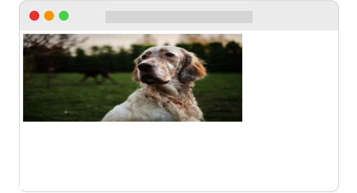 Figure 3.3 – Representation of the image component we just created 