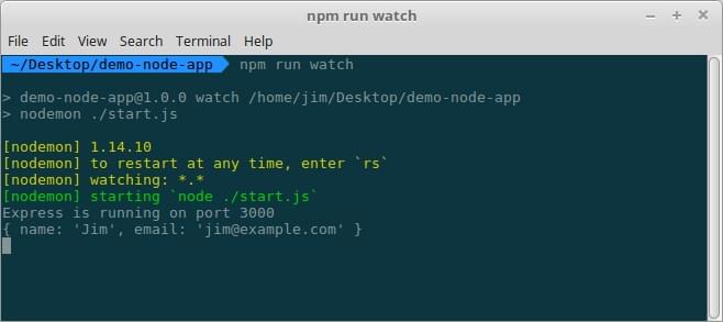Form output logged to terminal