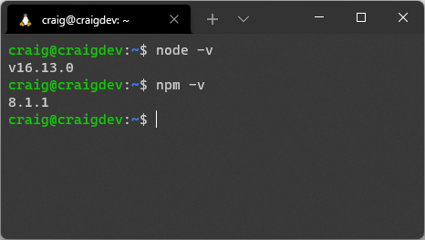 Node and npm versions