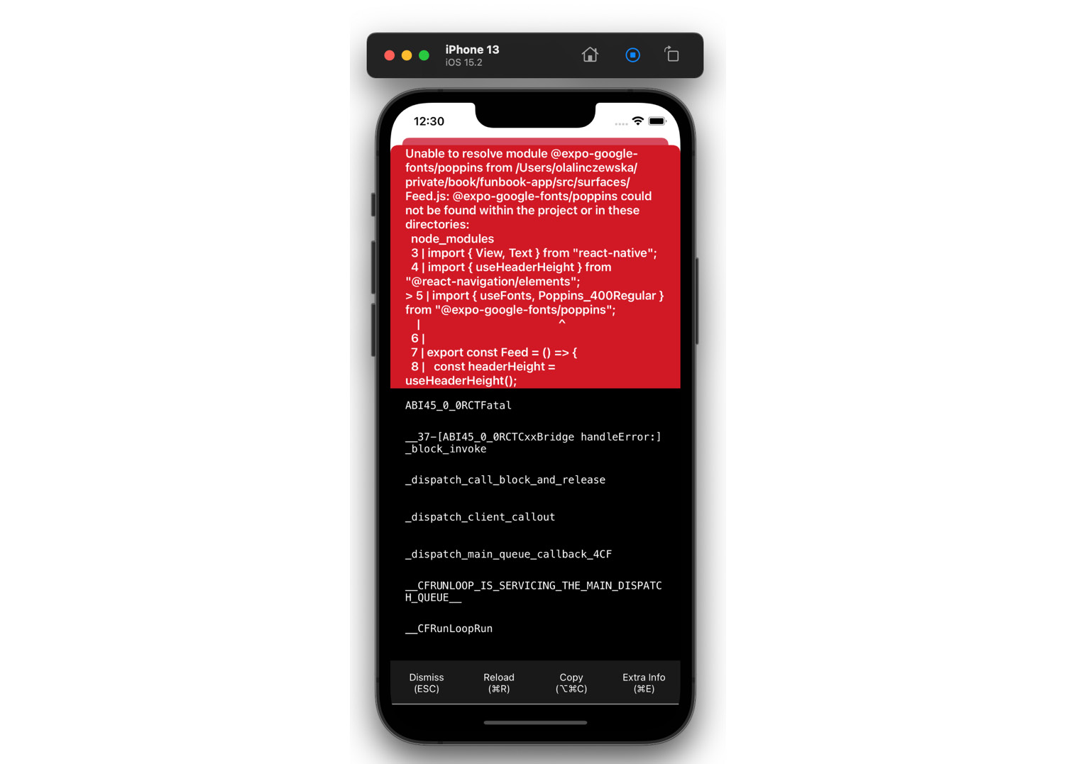 Figure 3.8 – iPhone simulator displaying an error 