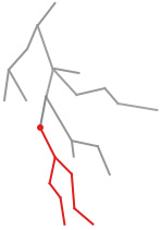 Figure 4.1 – A fiber tree with a source fiber 