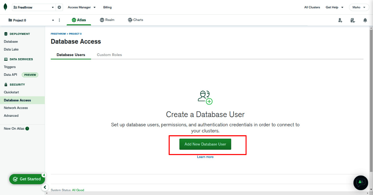 Figure 2.10 – The Database Access screen  