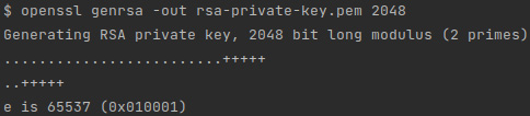 Figure 4.4 – A screenshot of the result of the command to generate the private key 