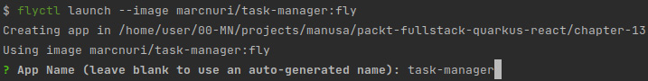 Figure 13.4 – A screenshot of flyctl launch prompting for an app name 