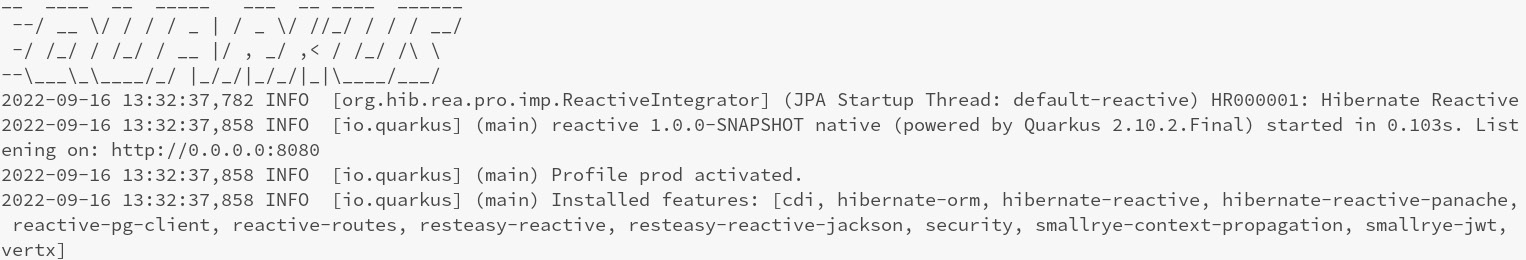 Figure 11.9 – A screenshot of the native application’s execution log 