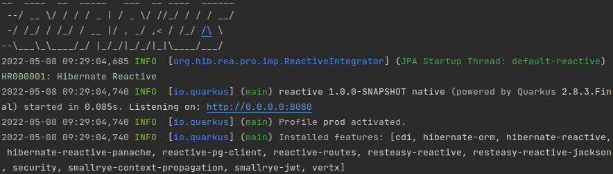 Figure 6.4 – A screenshot of the native application execution log 