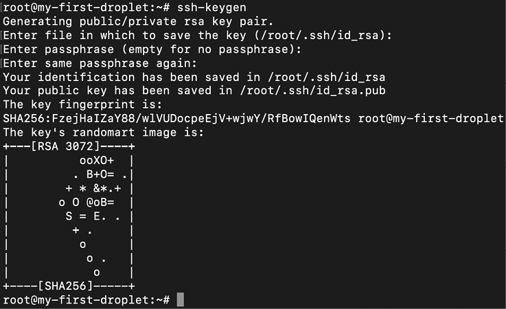 Text  Description automatically generated