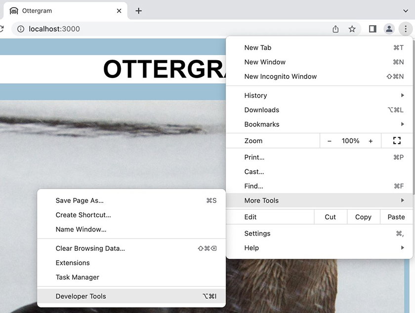 Opening the Chrome Developer Tools