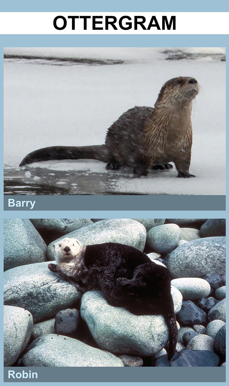 Ottergram with stand-out names