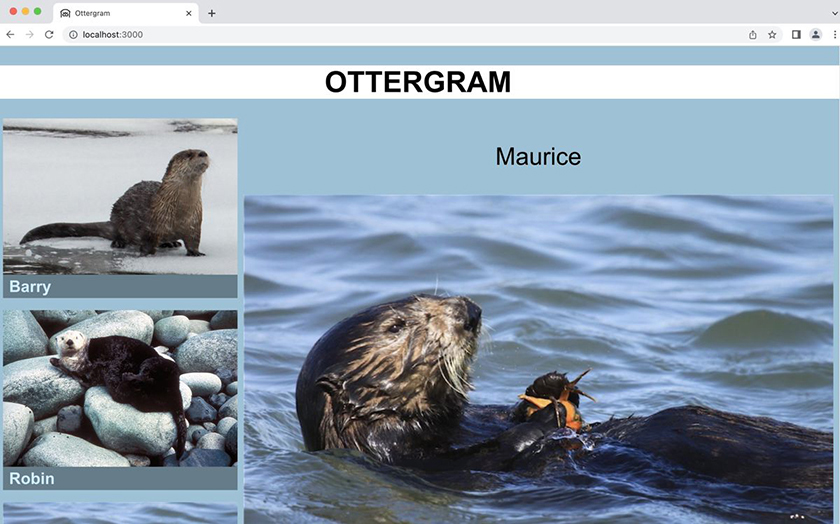 Preview of the completed Ottergram app