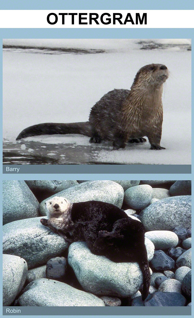 Ottergram, with style