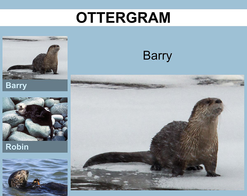 Barry takes center stage