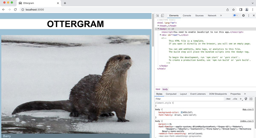 Viewing the Chrome DevTools
